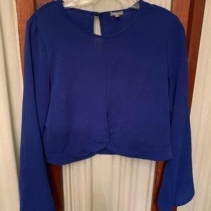 Royal blue top with long sleeves